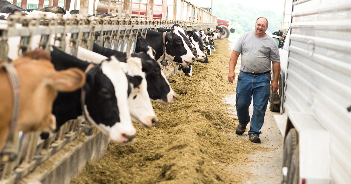 Perfect storm rocks Illinois dairy industry