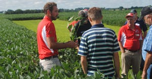 Attendees in soy bean field during SBMFD  field days