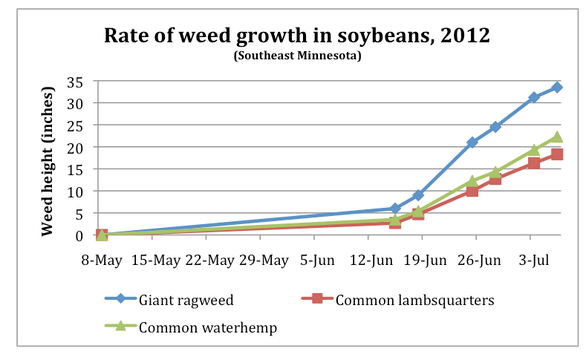 Rate of weed growth