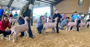 Freedom Fest Breeding Sheep Jackpot Show exhibitors at the Missouri State Fairgrounds