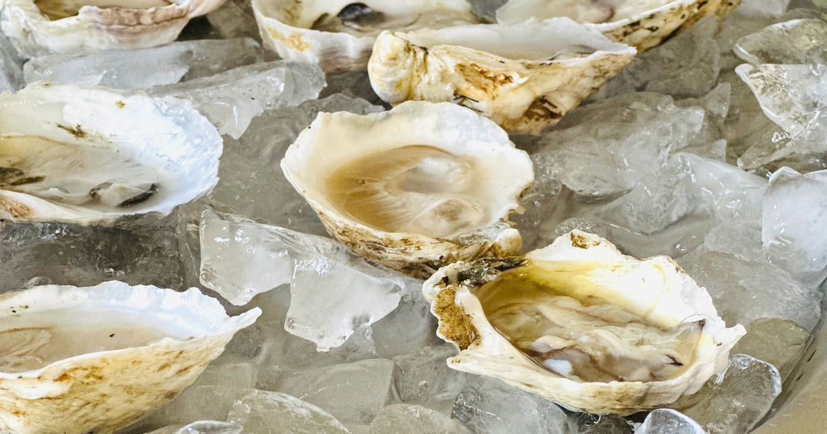 Oyster aquaculture: Transforming seafood industry beyond 'R' months