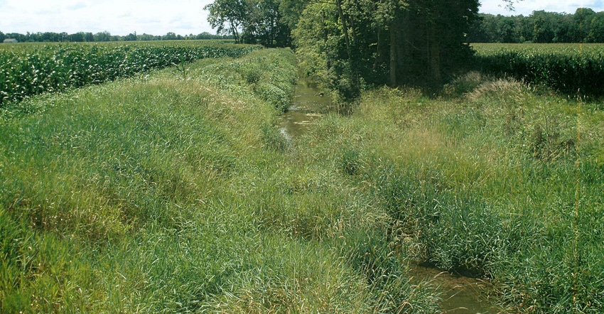 ditch 