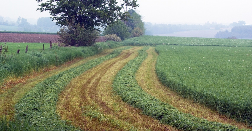 tracks of freshly cut hay