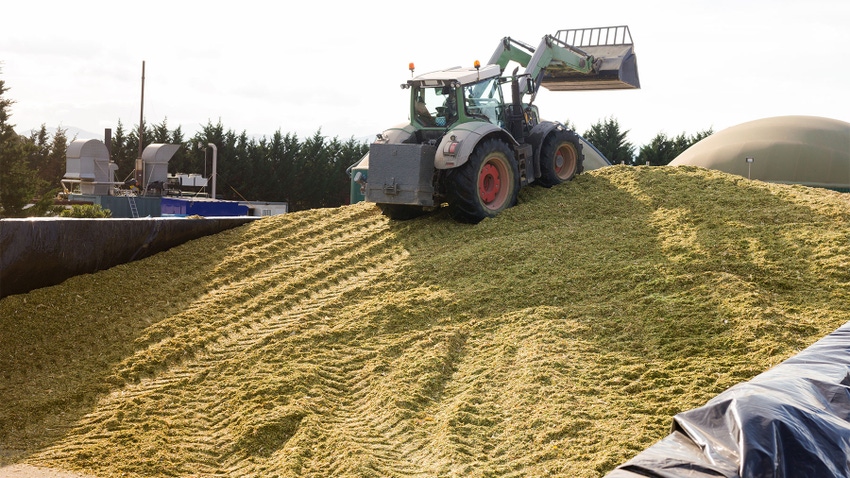 A tractor preparing silage
