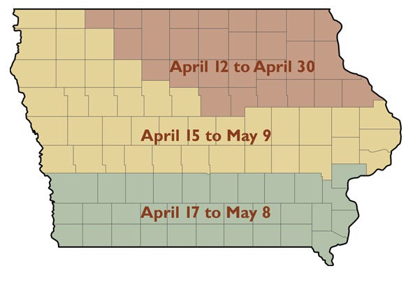  It’s recommended to plant corn in Iowa from mid-April to early May to achieve highest yield. Exact dates differ year to year depending on location and conditions.