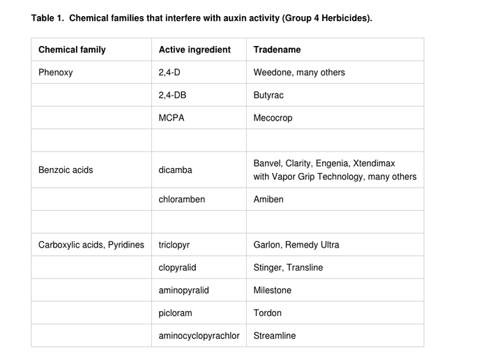 chemicals-group-4-herbicides.png