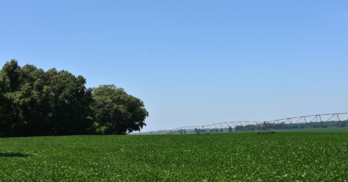 A steep climb in the Delta