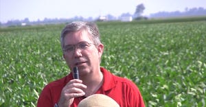 FORREST-LAWS-STEVE-GREEN-COVER-CROPS-SOYBEANS.jpg