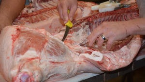 Hand cutting and processing meat