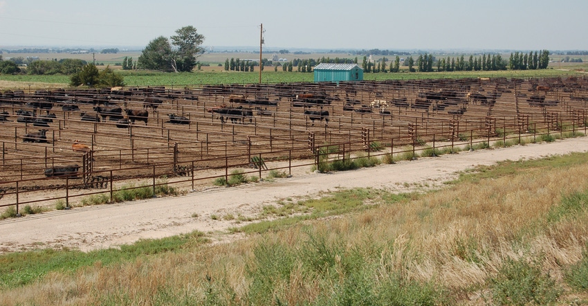 Feedlot at the Panhandle Research and Extension Center Feedlot at the Panhandle Research and Extension Center