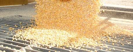 grain_movement_midwest_corn_shipped_nc_hog_farms_california_dairies_1_635657449361652000.jpg