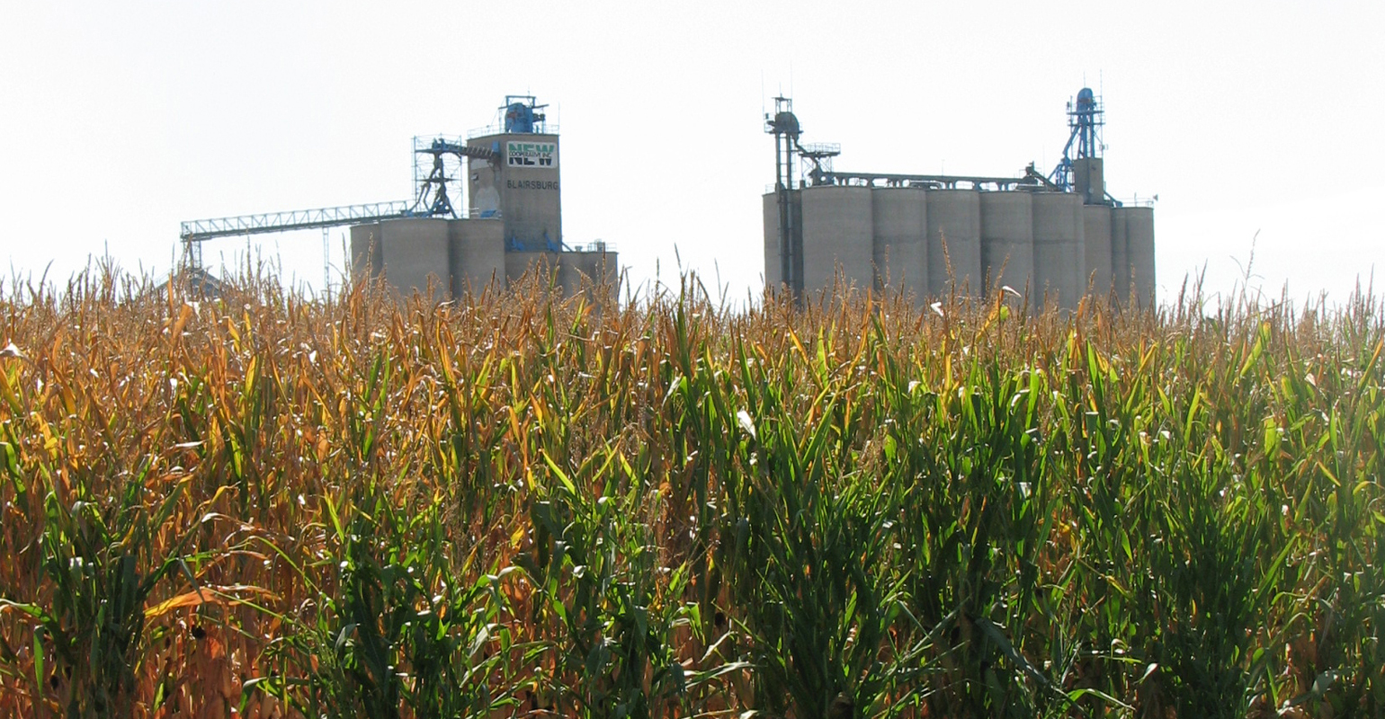 Rent land or sell farm?