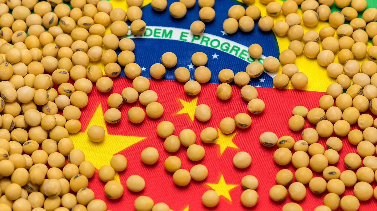 $12 soybeans won't last: Acreage bomb and China snub loom large