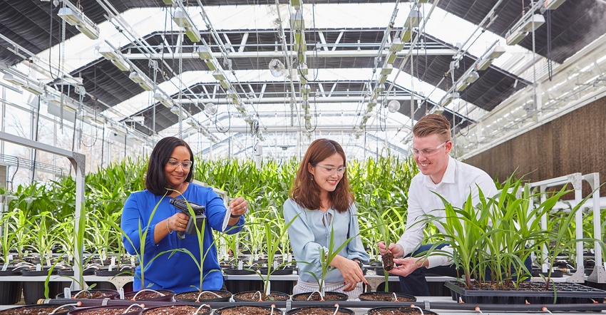 researchers working in greenhouse