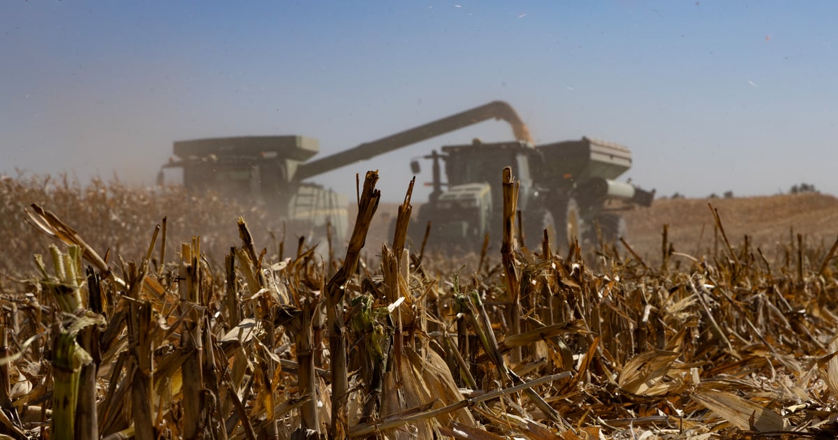 Will $5 corn and $12.50 beans fuel farmland sale growth?