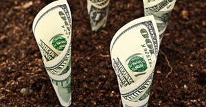 Money growing. Dollar bills growing in soil.