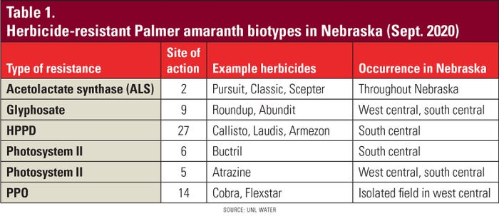 Herbicide-resistant Palmer amaranth biotypes in Nebraska, Sept. 2020