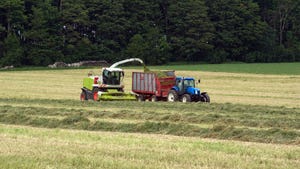 A forage harvester chops and blows hay into a wagon