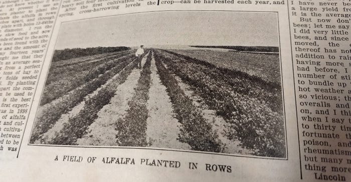 1913 Nebraska Farmer article offers one Cheyenne County producer’s vision of raising alfalfa in rows