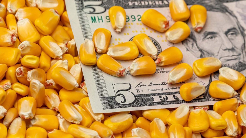 Five dollar bill and corn kernels