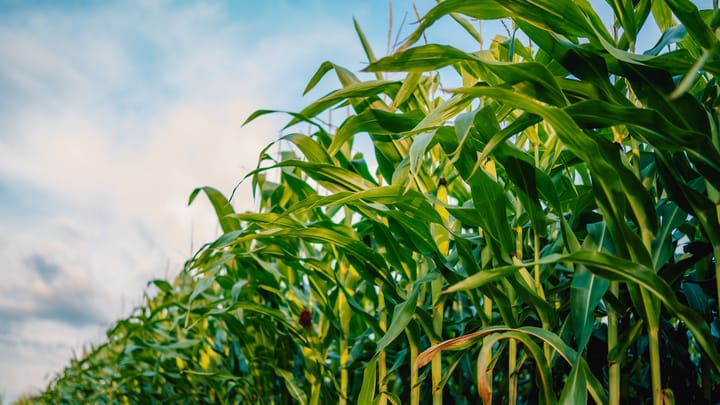 Bayer subsidiary drops tariff request after farmer pushback