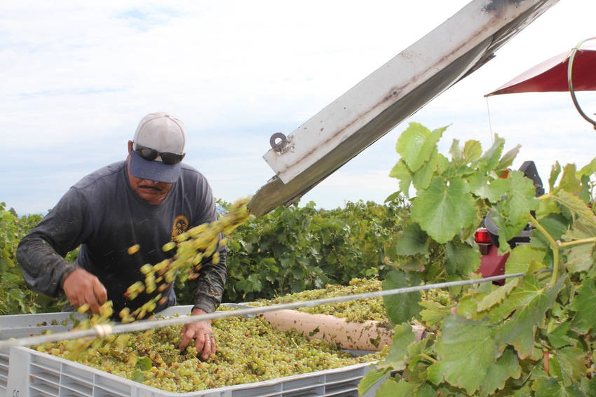 WFP-LA-winefestivals1.jpg WFP-LA-winefestivals1.jpg