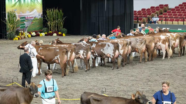 World Dairy Expo: Global stage in the heart of Madison