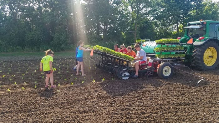 A group of young kids planting tobacco