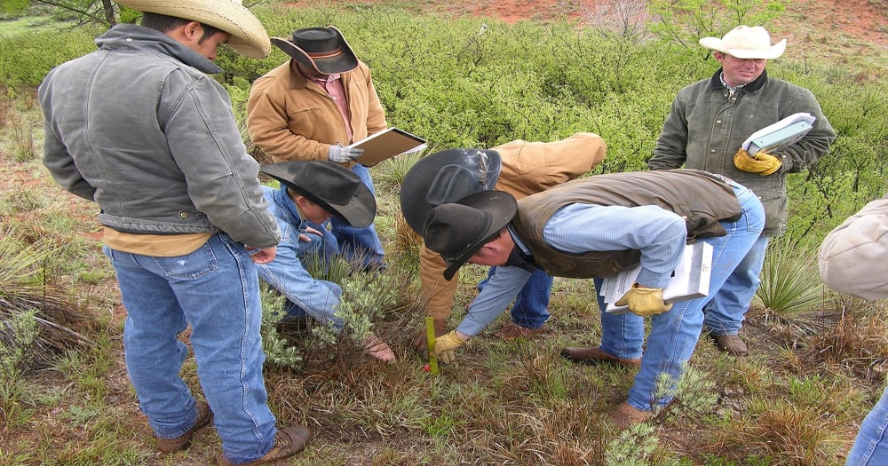 What is healthy pasture and soil worth?