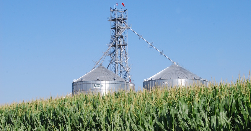 Grain silos and cornfield