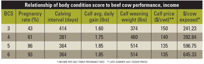 Relationship of body condition score to beef cow performance, income table