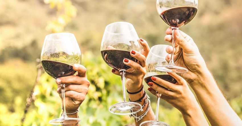 raised wine glasses in a toast