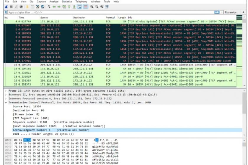 Working with Ring Buffer Wireshark Files