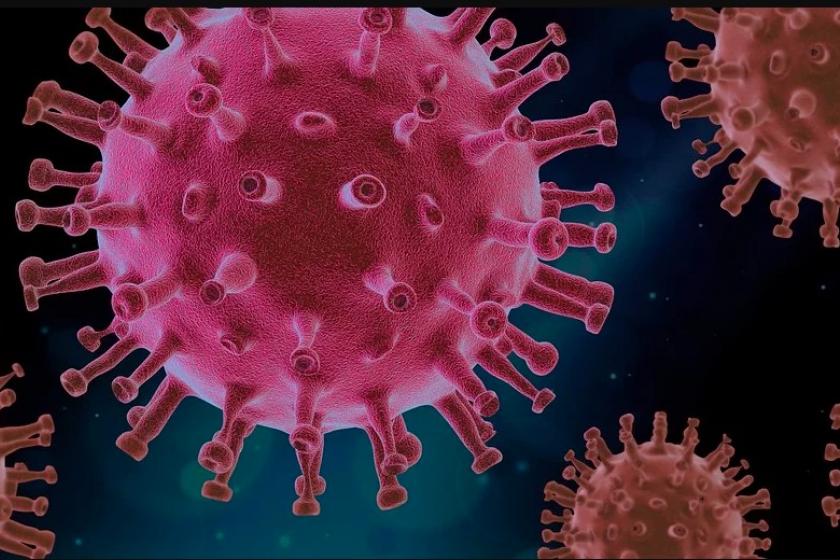 Tips for IT Managers Transitioning to WFH Tips for IT Managers Transitioning to WFH