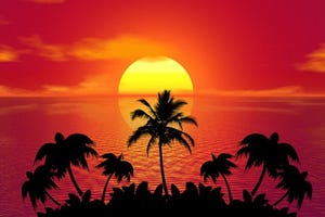 Enterprises Need to Invoke Plan B As 3G Sunset Looms Enterprises Need to Invoke Plan B As 3G Sunset Looms