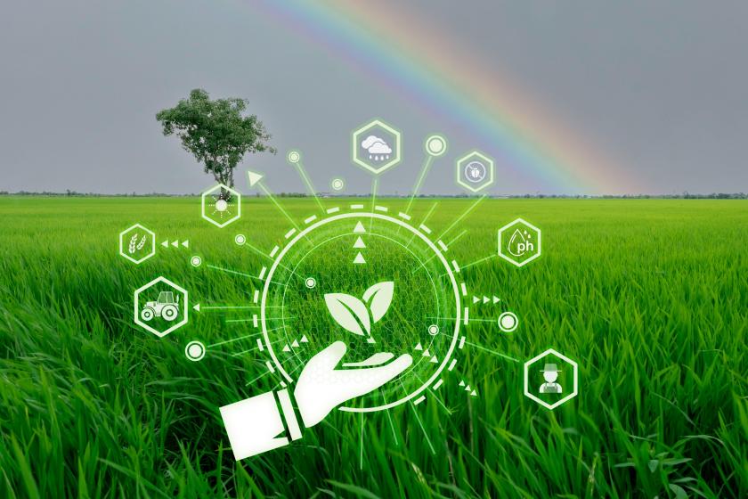 Internet Use by Farms Edges Forward, But Precision Agriculture is Lagging Internet Use by Farms Edges Forward, But Precision Agriculture is Lagging