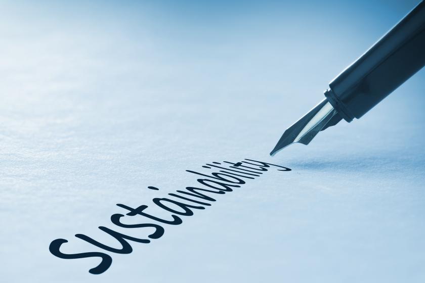 Understanding the Role of the Network in Sustainability