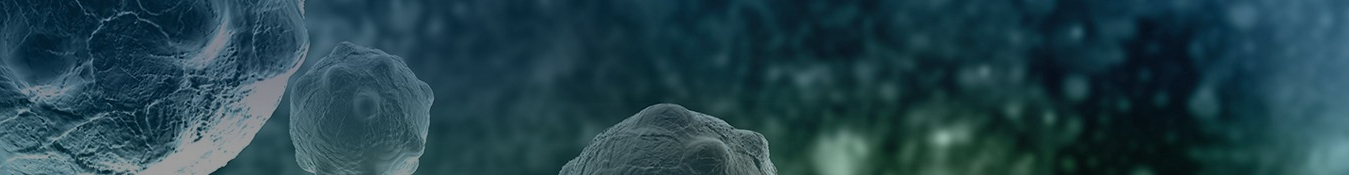 Клинический протокол МЗРК