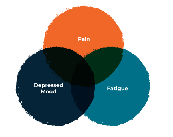 Venn diagram of pain, fatigue and depression