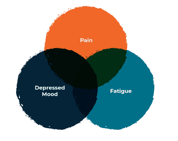 Venn diagram of pain, fatigue and depression