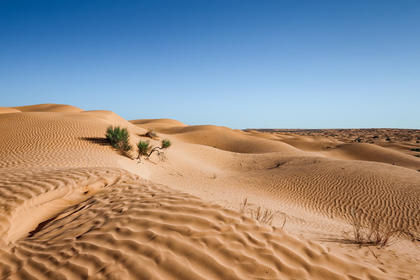 Sahara Wüste in der Nähe des Grand Erg Oriental , Tunesien 