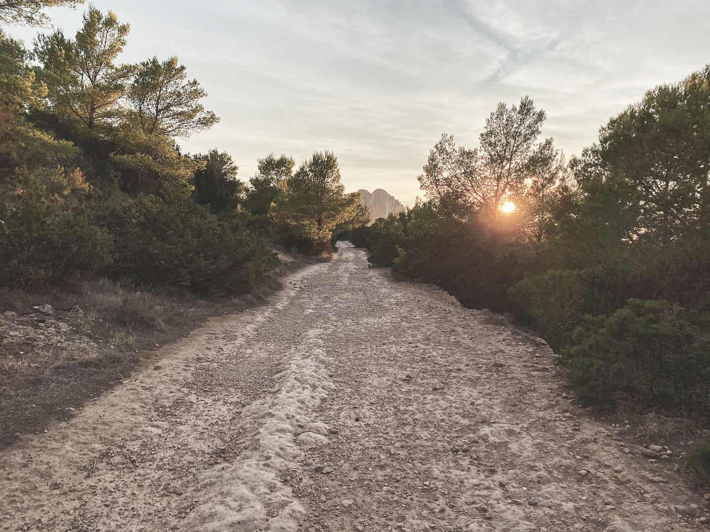 Ibiza Urlaub mit DERTOUR. Wanderweg nach Es Vedra auf Ibiza