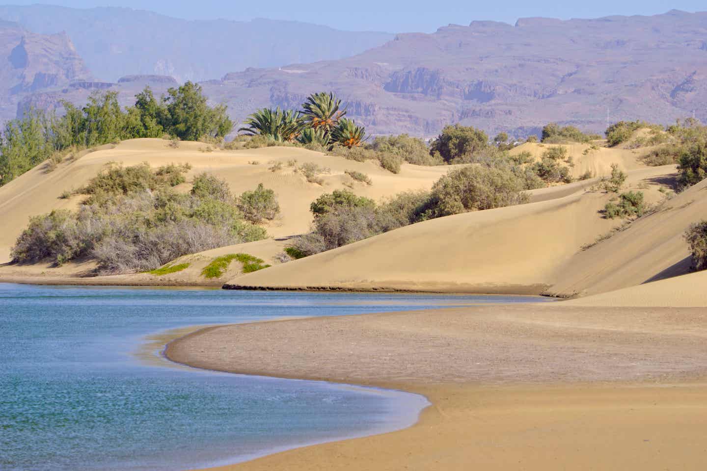 Die Dünen von Maspalomas: Gran Canarias Strände