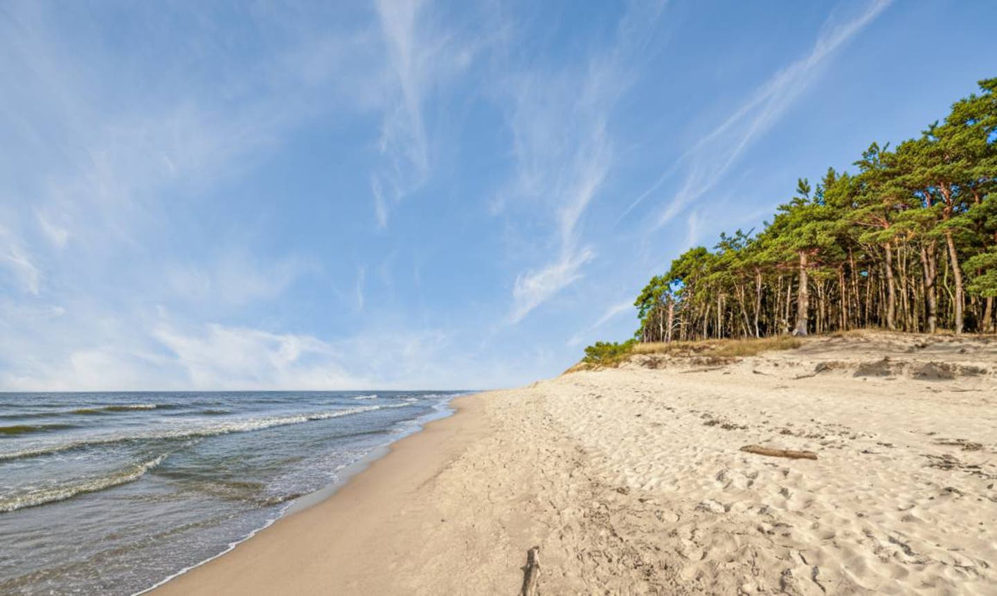 Naturstrand mit Küstenwald im Abendlicht, Ostsee, Mecklenburg-Vorpommern, Deutschland