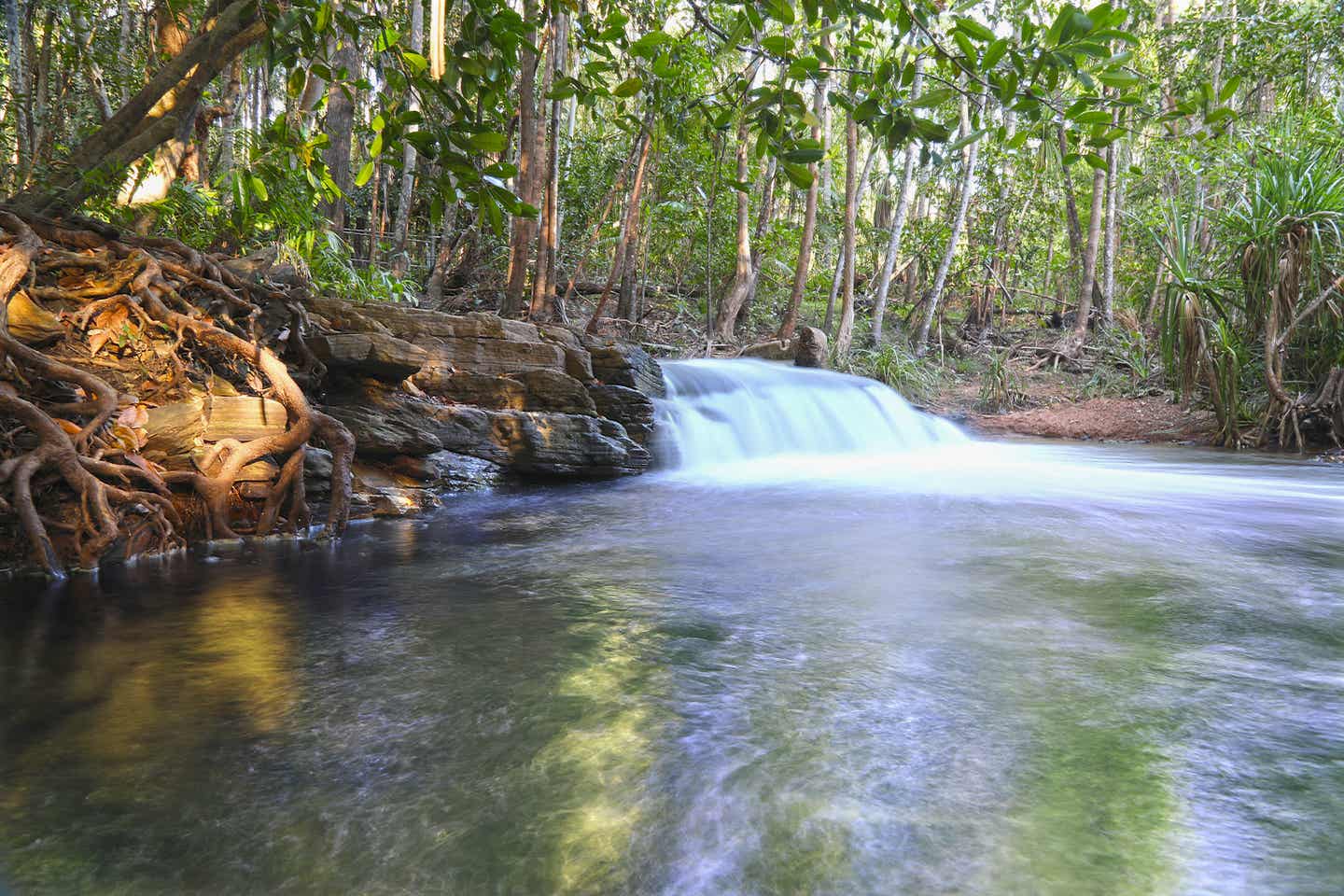 Darwin Sehenspwürdigkeit: Berry Spring Nature Park 