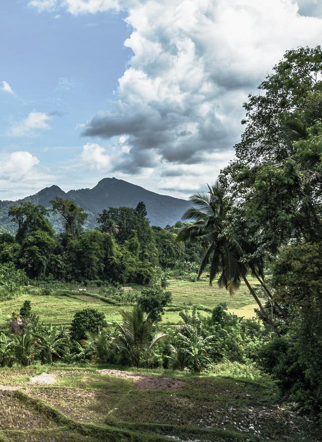 Beste Reisezeit Sri Lanka