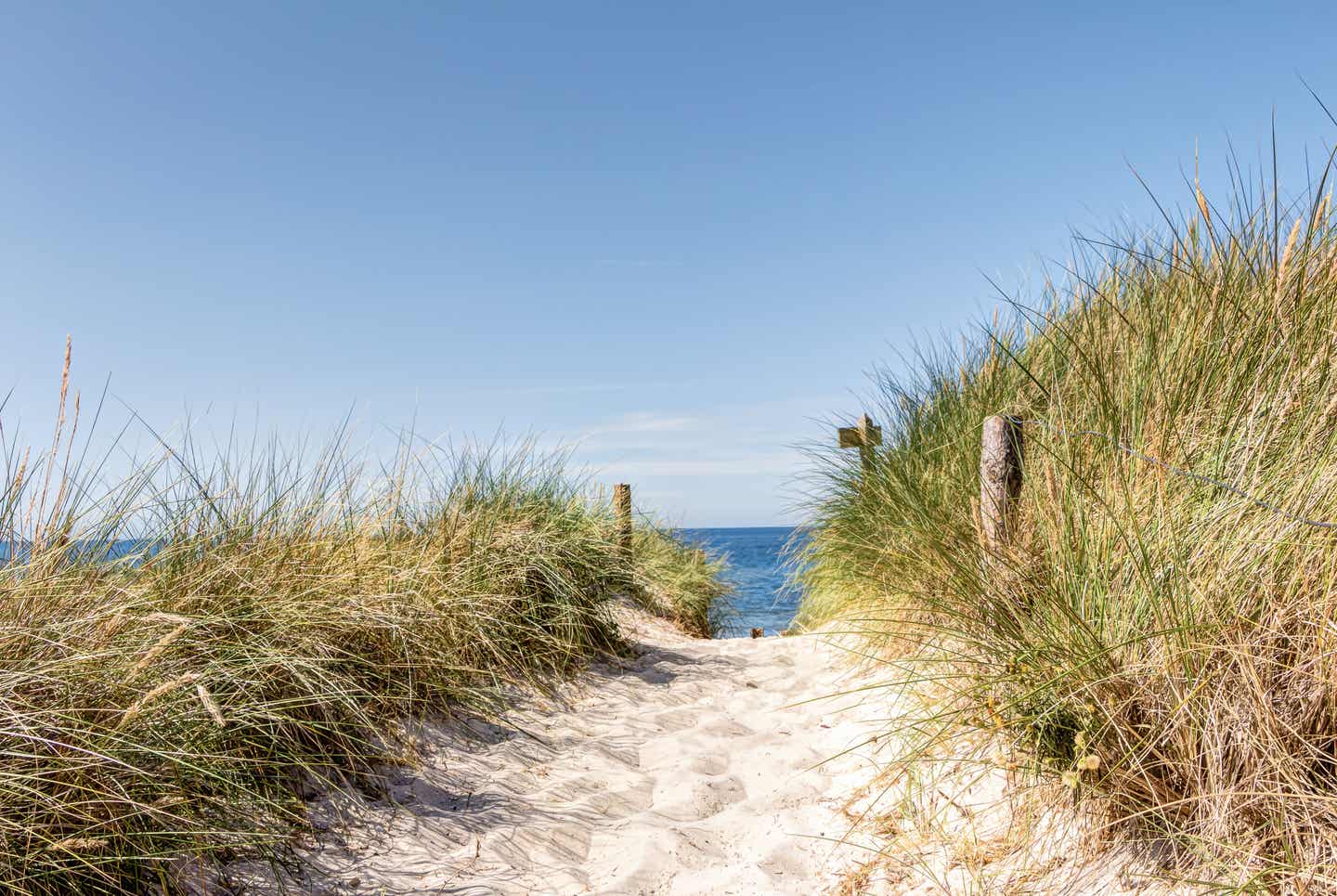 Usedom Urlaub mit DERTOUR. Weg zum Strand mit Dünengras links und rechts