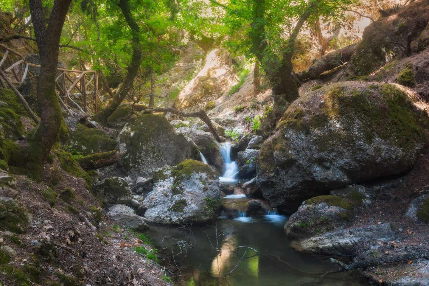 Schmetterlingstal Rhodos, Griechenland