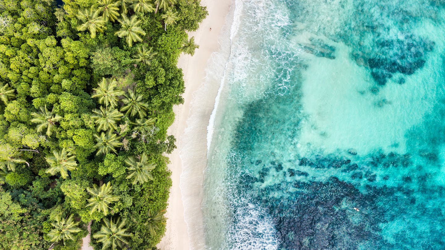 Vogelperspektive auf weißen Sandstrand mit grünen Palmen und türkisblauem Meer im Indischen Ozean