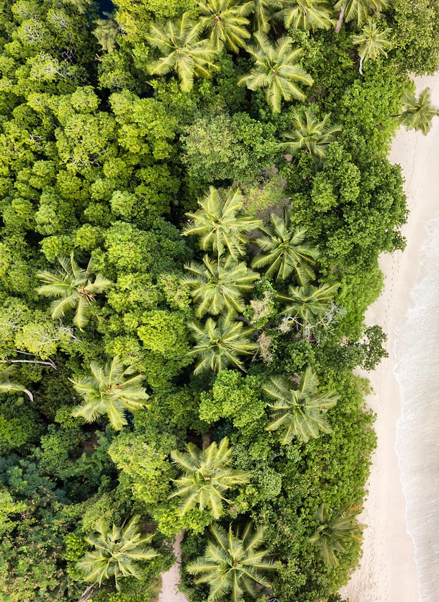 Seychellen oder Mauritius